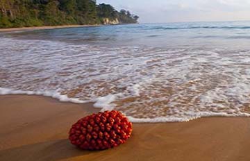 The Best of Port Blair & Havelock : 6 Night/ 7 Days-Andaman Beach Travels